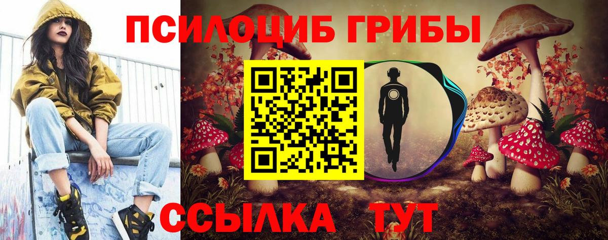 Псилоцибиновые грибы прущие грибы  Вход с VPN  Тверь 